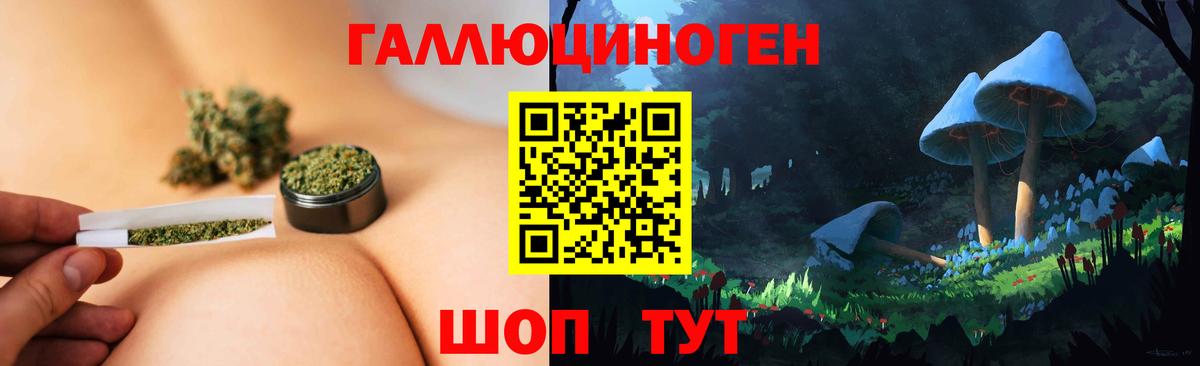 Арсеньев  Псилоцибиновые грибы ЛСД  Вход с VPN 